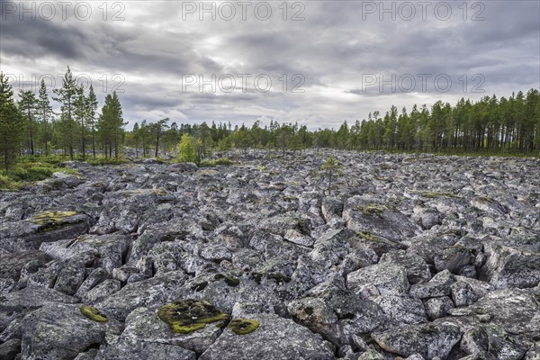 Plain covered in rocks