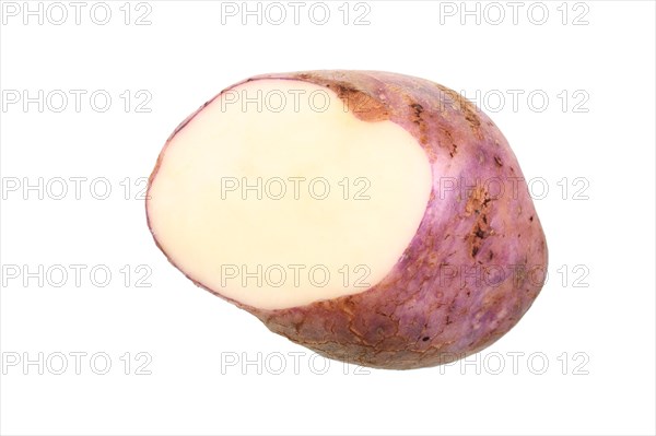 Potato