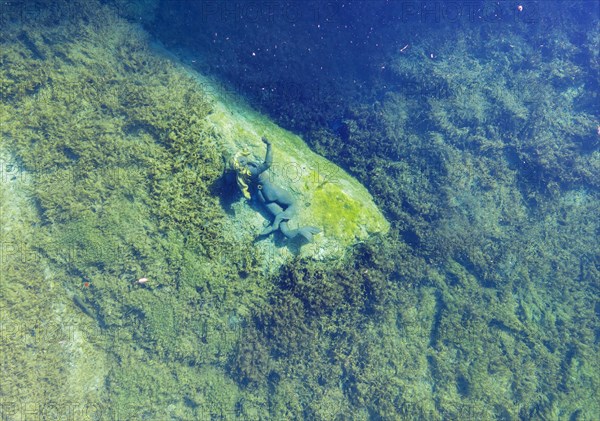 Life-sized sculpture of a mermaid in Lake Badersee