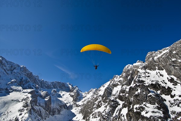 Paraglider