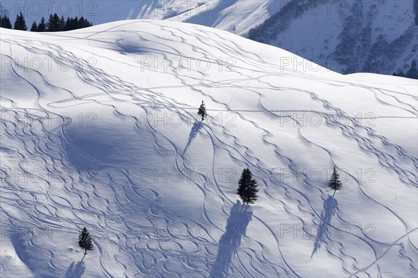 Ski tracks in deep snow