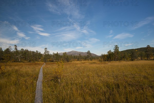 Hiking trail