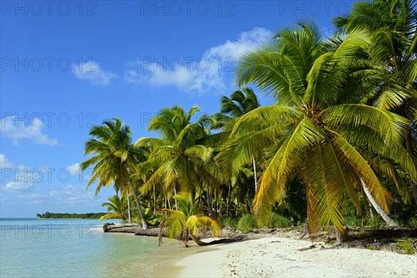 Palm Beach