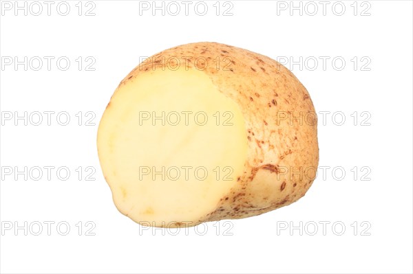 Potato