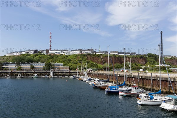 Harbor