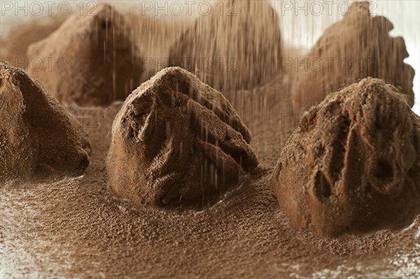 Truffles dusted with cocoa powder