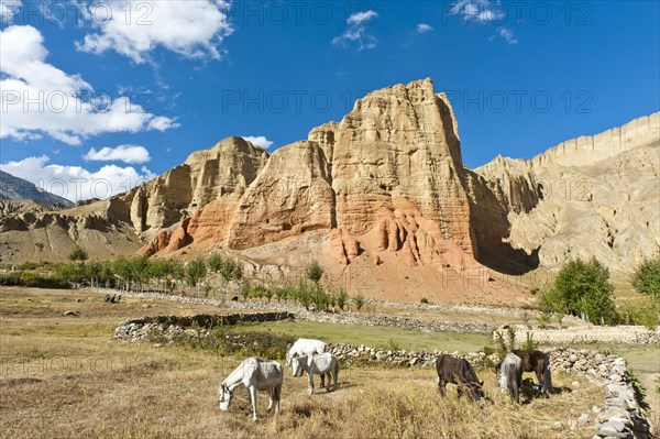 Erosion landscape with towering rocks