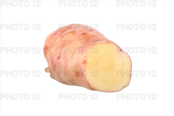 Potato