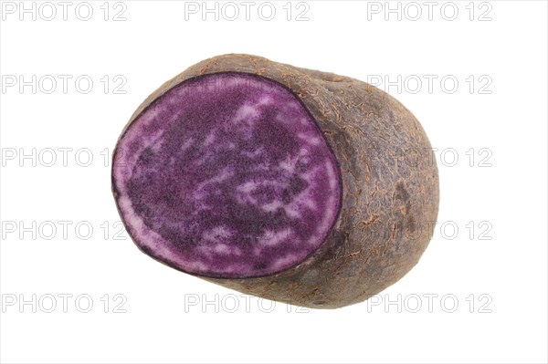 Potato