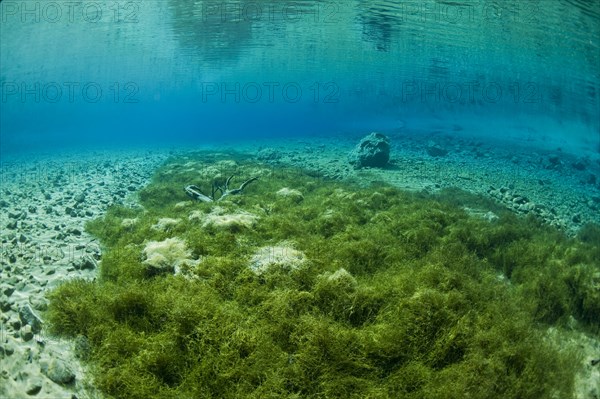Underwater view