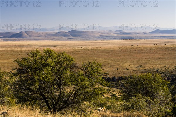 Bank Mountains