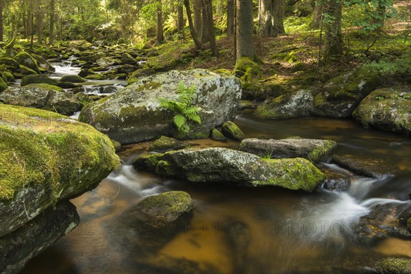 Hollfall falls