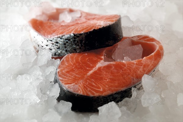 Fresh salmon steaks on crushed ice