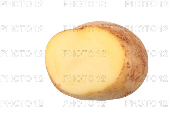Potato
