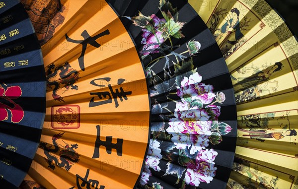 Chinese paper fans