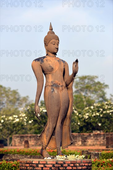 Buddha statue