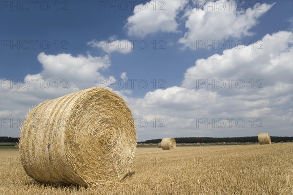 Field with straw bales against a blue sky with white clouds