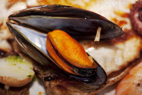 Cooked mussel on a plate