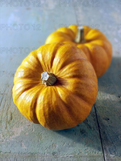 Mini pumpkins