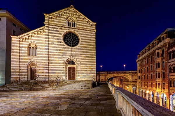 Night Scene