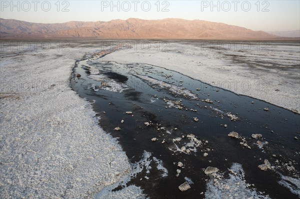 Salt marshes in the morning