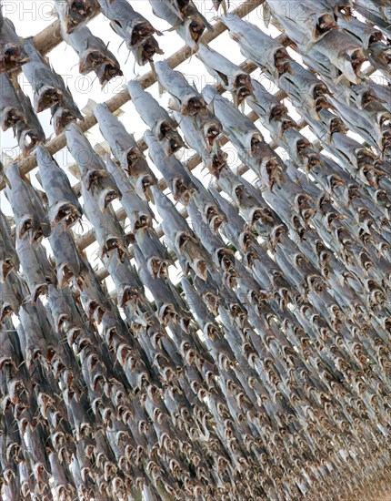 Framework with stockfish