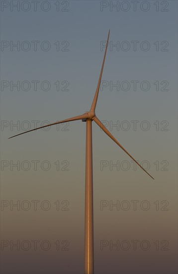 Windmill in the evening light on a wind farm near Sanlucar de Barrameda