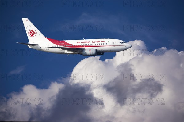 Air Algerie Boeing 737-6D6 in flight