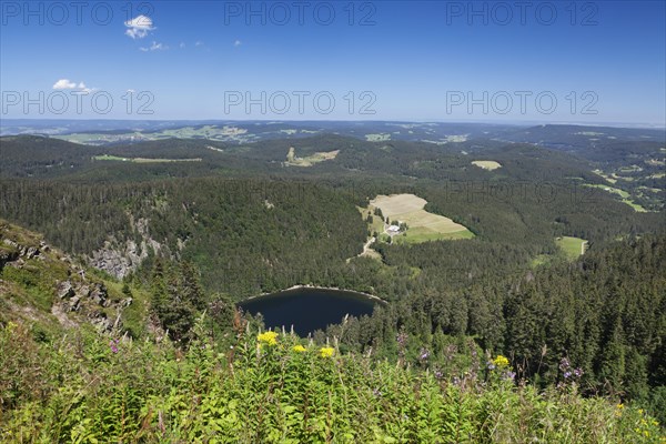 View of lake Feldsee seen from Feldberg mountain