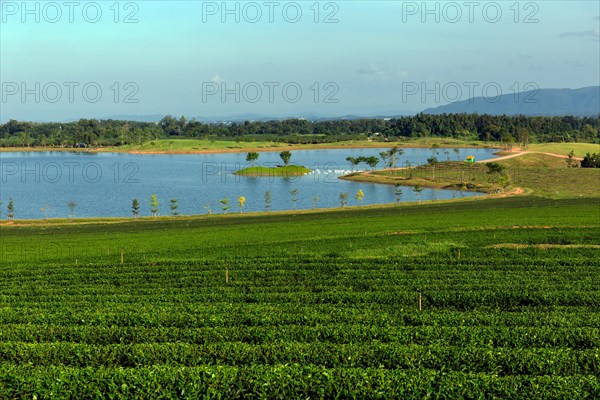 Boon Rawd Farm