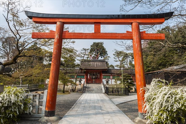 Torii gate