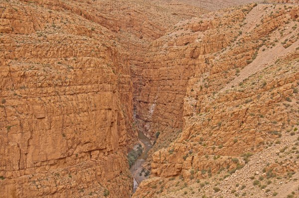 Mountain stream