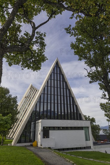 Arctic Cathedral