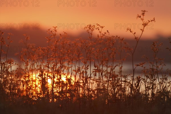 Sunrise on the Lower Weser River