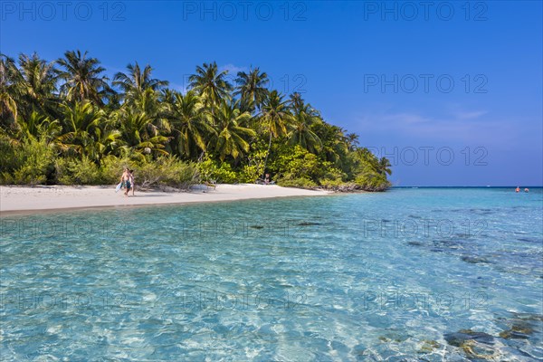 Beach with palms