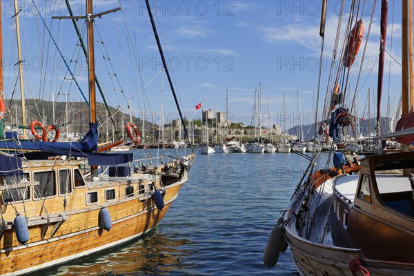 Harbour with the Castle of St Peter