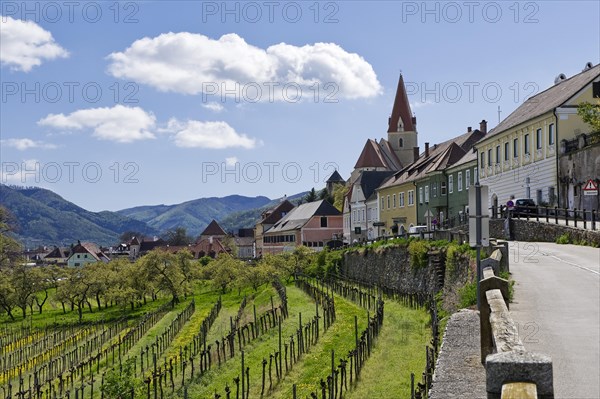 Townscape