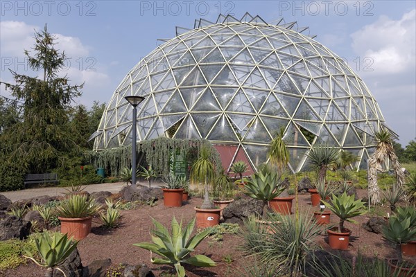 Dome greenhouse