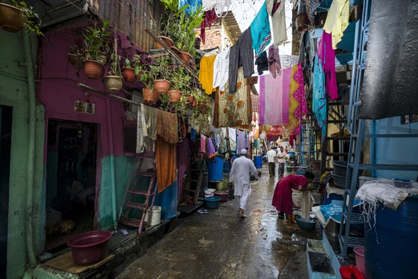 Narrow lane