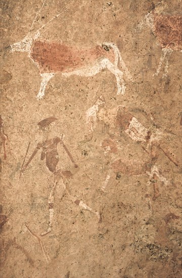Detail