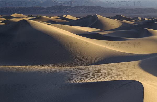 Mesquite Flat Sand Dunes in the early morning