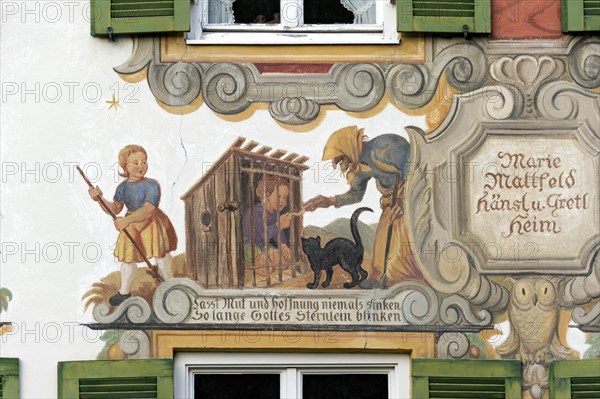 House of Marie Matt Field