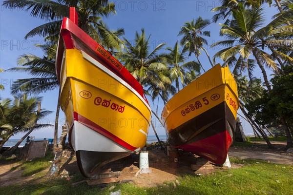 Ships of a shipbuilder