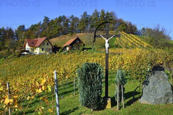 Wayside shrine in the vineyards