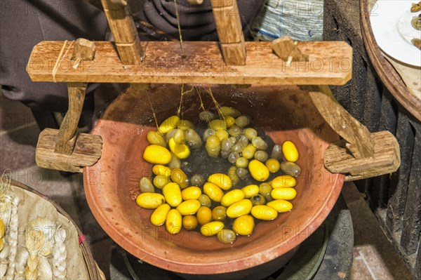 Extraction of silk wires from cocoon