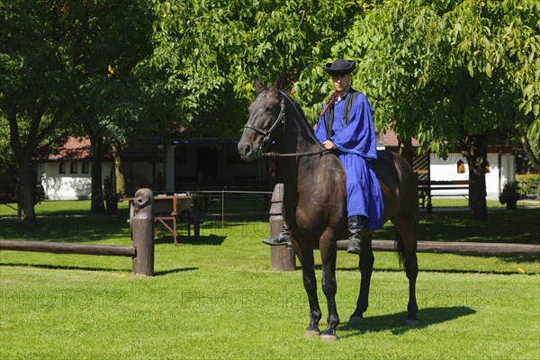 Csikos on horseback