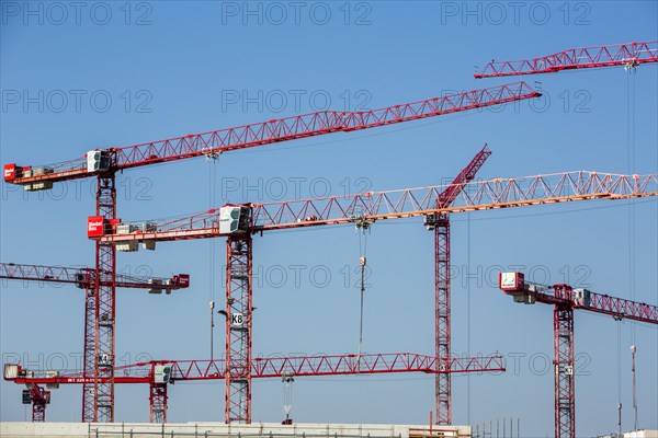 Construction cranes at a construction site