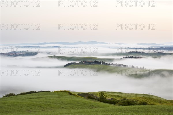 Fog in the valleys of the Crete Senesi