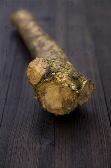 Horseradish