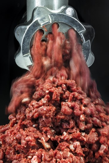 Veal